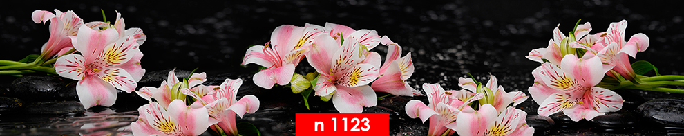 n 1123
